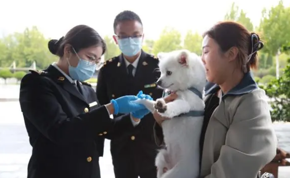 淄博海关助力宠物出境