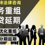 赢律诗法律债务协商·法律咨询、刑事案件、律师会见、取保候审、无罪辩护、取保减刑、代开庭