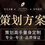 专业策划，铸就非凡——市场营销与活动方案设计专家