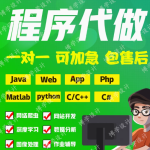 专业程序开发服务，满足您的数字化需求