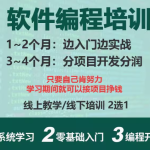 开启职场新未来,零基础电脑办公软件培训