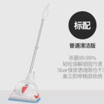 蒸汽拖把家居清洁的神奇力量