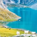 邂逅北疆与南疆的极致之美