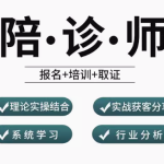 贴心陪伴专业服务