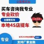 专业购车咨询服务