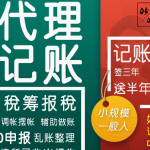 专业代理记账，为您的财务保驾护航