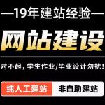 网站成功秘诀，优化用户体验与专业维护精髓        