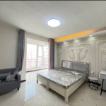 邯郸大学、滏瑞特、新万达、美乐城以及三龙周边，精装修带大阳台与独卫