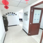 金世纪与友谊中道，还有文新、金宇、金洲以及华浩