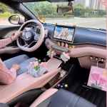 比亚迪海鸥的内饰用品，涵盖车内装饰贴、中控台改装全套配饰品，还有屏幕升级