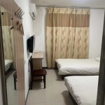 新丹兰可拎包入住的公寓房