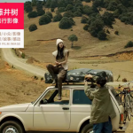 藤井树的旅拍婚纱照与目的地婚礼