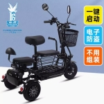 飞鸽家用小型电动三轮车，用于接送孩子，适合女士、老年人，亲子款可折叠，轻便电瓶车