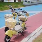 2024 新款元宇宙电动车惊艳亮相，专为女士设计的小型电瓶车，同时也适合成人使用，是便捷的代步车