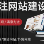 数字时代的创新引擎，网站建设与多元开发服务