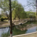 专业设计策划，铸就水利水电辉煌