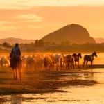 呼伦贝尔草原亲子游畅享内蒙古之美