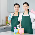 家政服务业的发展现状与展望