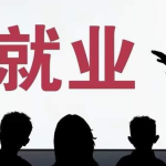 多路径协同推进的求职就业新格局