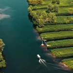 雄安白洋淀的华丽蜕变