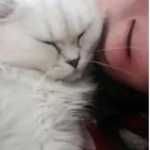 菜鸟驿站·宠物寄养