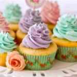 加盟信息应该怎么找到？