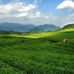 农业信息不知道怎么找应该怎么办？