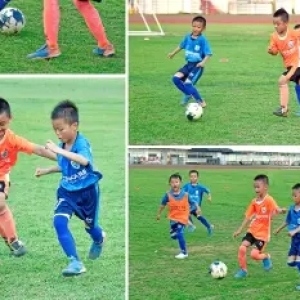 福州专业乒乓球培训提供乒乓球培训服务