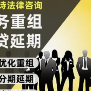 赢律诗法律债务协商·法律咨询、刑事案件、律师会见、取保候审、无罪辩护、取保减刑、代开庭