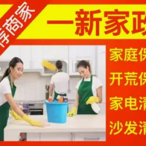 一新家政·家庭保洁油烟机洗衣机沙发地毯清洗 家庭别墅商铺办公室开荒擦玻璃 除蟑螂
