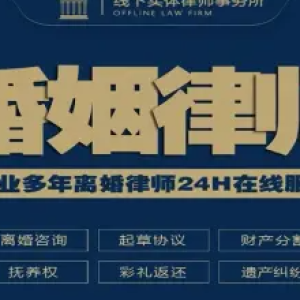 泰元法律咨询服务·法律咨询 律师会见 代发律师函 协议起草 无罪辩护 刑事辩护 商业纠纷