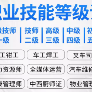 开启职业技能发展新篇章