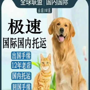 为您的爱宠打造安全舒适之旅