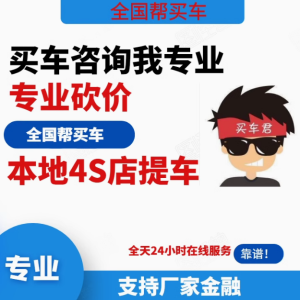 专业购车咨询服务