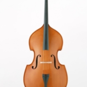 低音提琴为音乐世界增添了一抹不可多得的色彩与深度