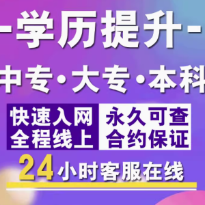 剖析网站建设：必备技能与重要内容