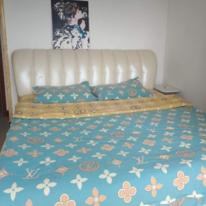 康德火车站周边，城内中街的大一居