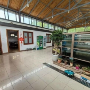 B2415 号，展览路临街的纯一层店铺出租，适合各类行业