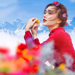 走进魅力西南的梦幻篇章