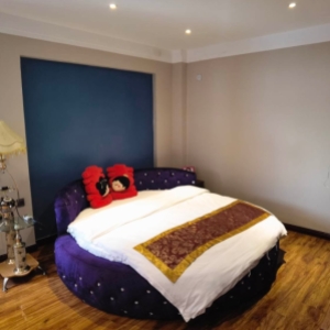 具有管家服务的简约风格公寓房