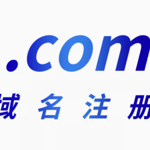 域名服务 筑网基石