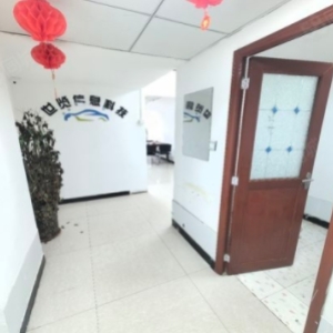 金世纪与友谊中道，还有文新、金宇、金洲以及华浩