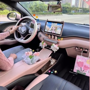 比亚迪海鸥的内饰用品，涵盖车内装饰贴、中控台改装全套配饰品，还有屏幕升级