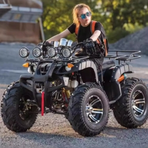 宗申沙滩车，四轮越野，包括大小公牛摩托车款。具备 ATV 四驱，适应山地地形，采用轴传动，是一款游乐全地形车