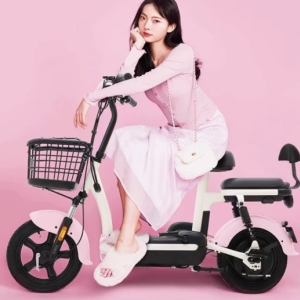 新国标女式小型电动车，新款上市，高续航，可助力出行，是成人女生的理想电瓶车