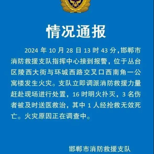 邯郸公寓火灾事故及救援情况通报