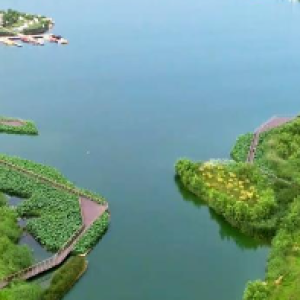 第十五届中国・邯郸国际太极拳运动大会圆满落幕