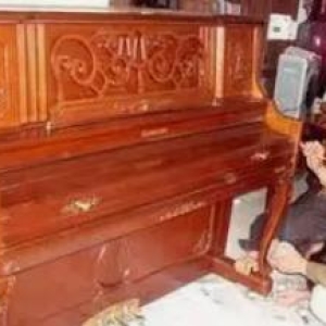 家具修复美容瓷砖修补，岩板修补，木器修补木器修复，磕碰修复，木门修复