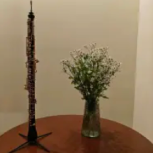 邯郸艺术培训·邯郸市双簧管、萨克斯乐器教学