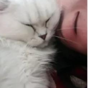 菜鸟驿站·宠物寄养